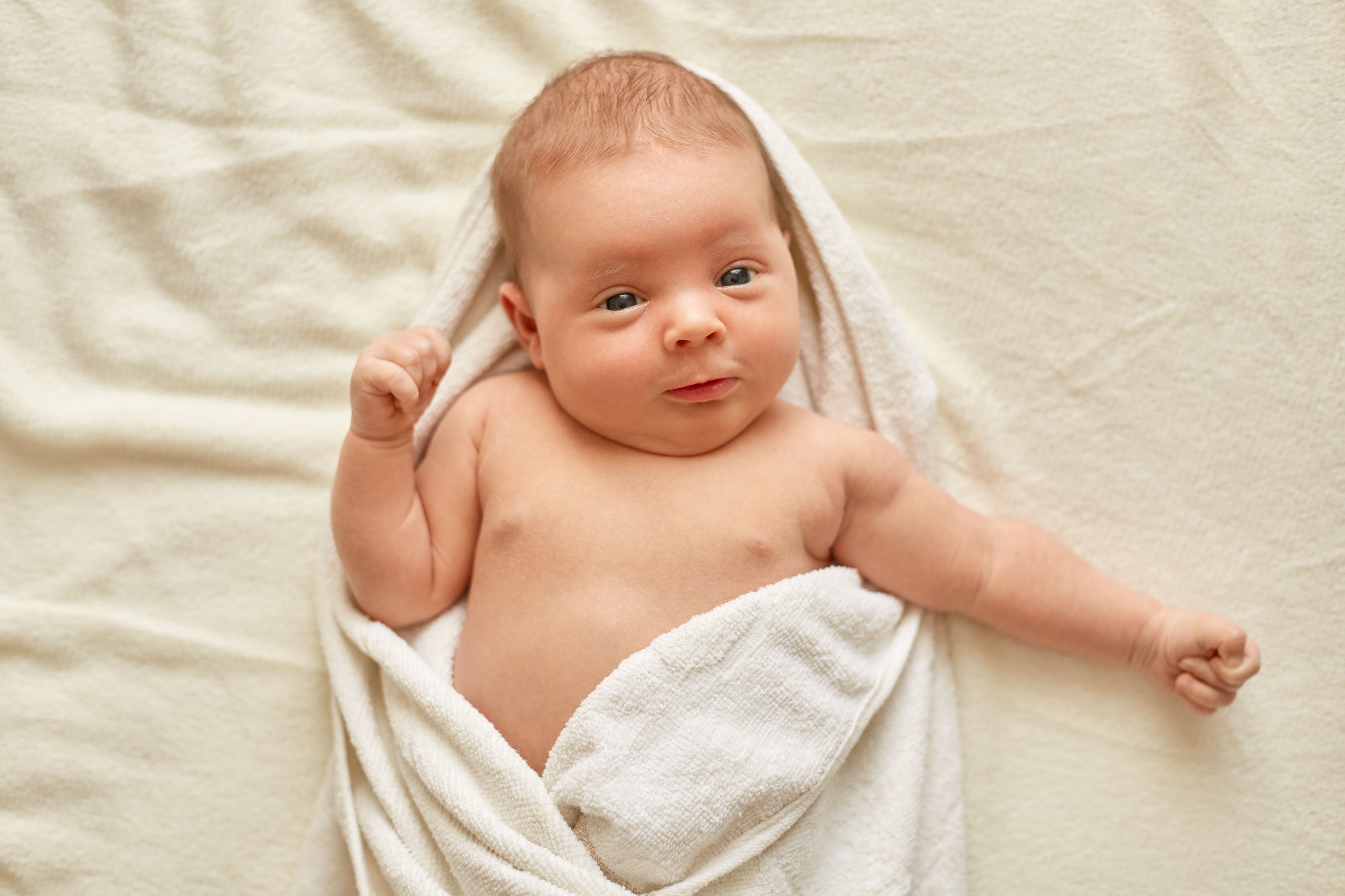 Ультразвуковое исследование органов грудной полости у новорожденных и недоношенных детей